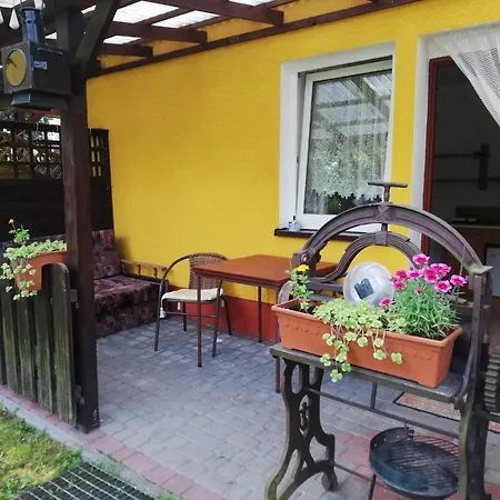 Krysztal Стегна