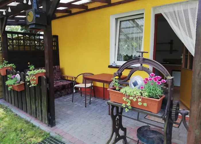 Krysztal 스테그나